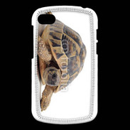 Coque Blackberry Q10 Tortue Hermann