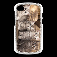 Coque Blackberry Q10 Chaton gris 2