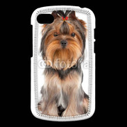 Coque Blackberry Q10 Yorkshire Terrier