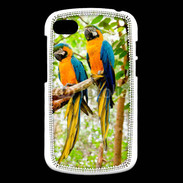 Coque Blackberry Q10 Duo de perroquets