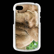 Coque Blackberry Q10 Elephant d'Afrique