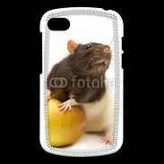 Coque Blackberry Q10 Rat bicouleur