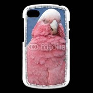 Coque Blackberry Q10 Perroquet rose