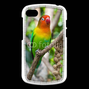 Coque Blackberry Q10 Oiseau Inséparable