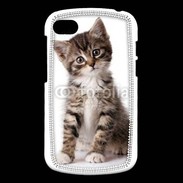 Coque Blackberry Q10 Chaton gris 3