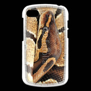 Coque Blackberry Q10 Python enroulé