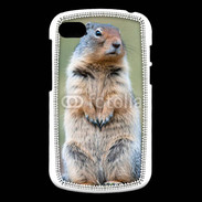 Coque Blackberry Q10 Marmotte 2
