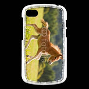 Coque Blackberry Q10 Poulain dans un champs