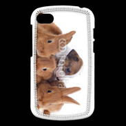 Coque Blackberry Q10 Gardien de lapins
