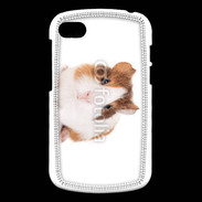 Coque Blackberry Q10 Cochon d'inde 2