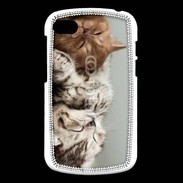 Coque Blackberry Q10 Sieste de chatons