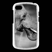 Coque Blackberry Q10 Elephant d'Afrique en noir et blanc