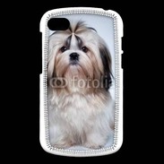 Coque Blackberry Q10 Chiot Shihtzu
