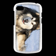 Coque Blackberry Q10 Chien d'Alaska