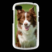 Coque Blackberry Q10 Chien Colley marron et blanc