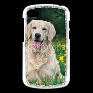 Coque Blackberry Q10 Portrait de Chien Golden 5
