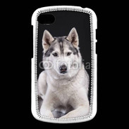Coque Blackberry Q10 Chien Husky de Sibérie