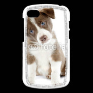 Coque Blackberry Q10 Chiot Colley marron et blanc