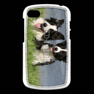 Coque Blackberry Q10 Chien Border Collie noir et blanc