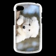 Coque Blackberry Q10 Chiot berger blanc suisse