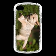 Coque Blackberry Q10 Chiot labrador 3