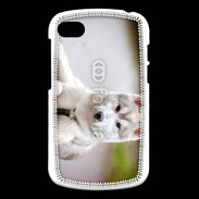Coque Blackberry Q10 Chien Husky de Sibérie 2