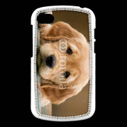 Coque Blackberry Q10 Chiot labrador golden 2