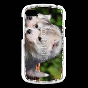 Coque Blackberry Q10 Chiot Husky de Sibérie 3