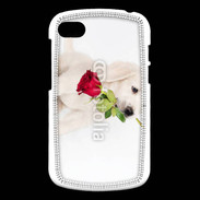 Coque Blackberry Q10 Chiot Golden retriever 2