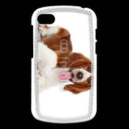 Coque Blackberry Q10 Chien Springer Spaniel