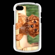 Coque Blackberry Q10 Chiot King Charles 2