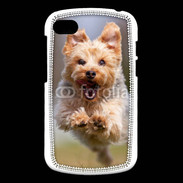 Coque Blackberry Q10 Yorkshire terrier 6