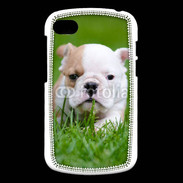Coque Blackberry Q10 Petit Bulldog anglais