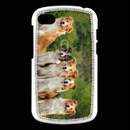 Coque Blackberry Q10 Groupe de 5 chiens Border Collie