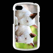 Coque Blackberry Q10 Chien Bull terrier anglais 1