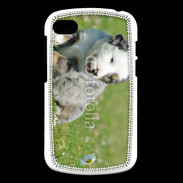 Coque Blackberry Q10 Chiot blanc et gris 1