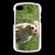 Coque Blackberry Q10 Mignon petit labrador