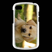 Coque Blackberry Q10 Chiot labrador 4