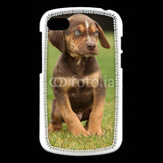 Coque Blackberry Q10 Chiot marron 2