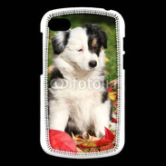 Coque Blackberry Q10 Adorable chiot Border collie