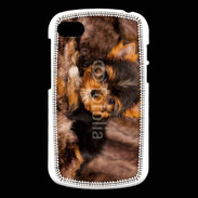 Coque Blackberry Q10 Chiot Yorkshire 10