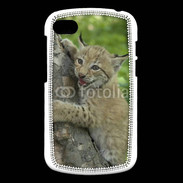 Coque Blackberry Q10 Bébé Lynx