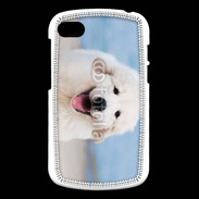 Coque Blackberry Q10 Chiot Golden retriever 16