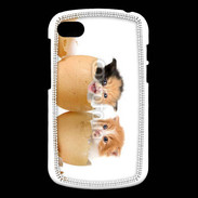 Coque Blackberry Q10 Chaton dans des coquilles d'oeuf