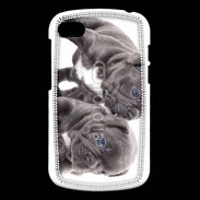 Coque Blackberry Q10 Duo de bulldog français 5