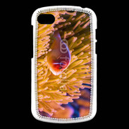 Coque Blackberry Q10 Poisson tropical 15