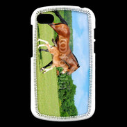 Coque Blackberry Q10 Cheval et poulain 2