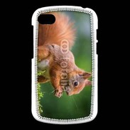 Coque Blackberry Q10 Ecureuil avec des noisettes