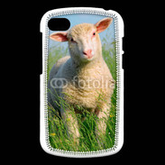 Coque Blackberry Q10 Portrait d'un agneau