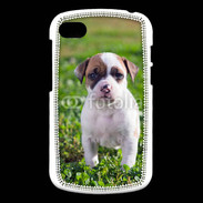 Coque Blackberry Q10 Chiot American Staffordshire terrier 